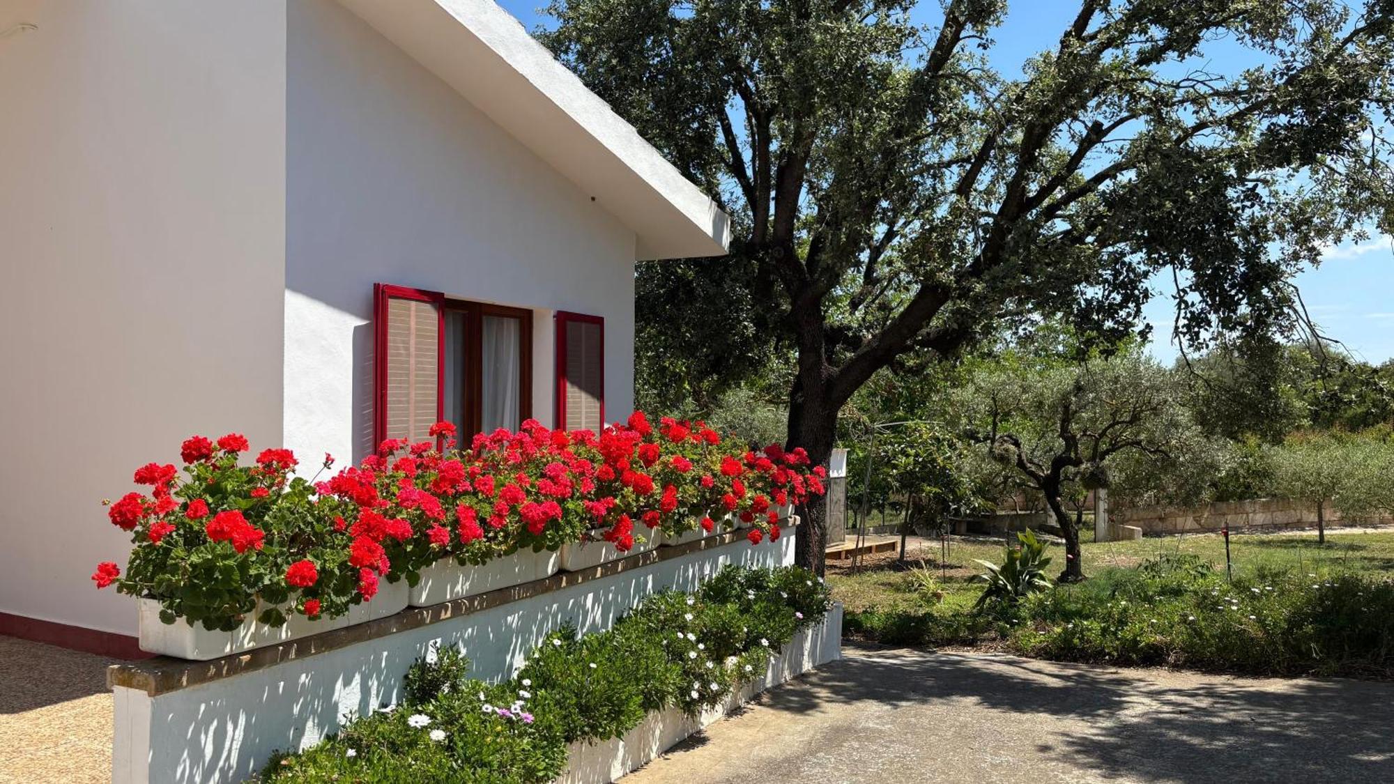 Finca Sa Cova De Mallorca Sencelles Exteriör bild
