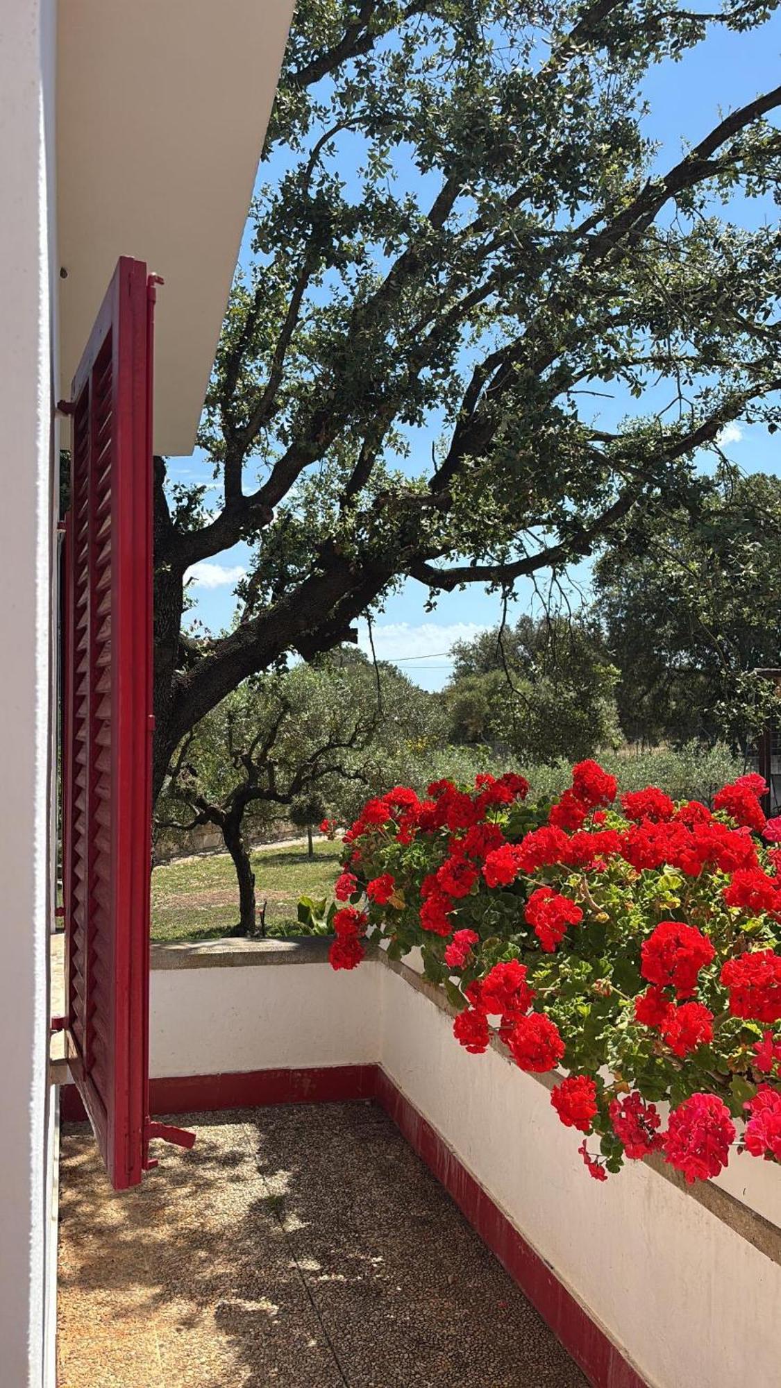 Finca Sa Cova De Mallorca Sencelles Exteriör bild