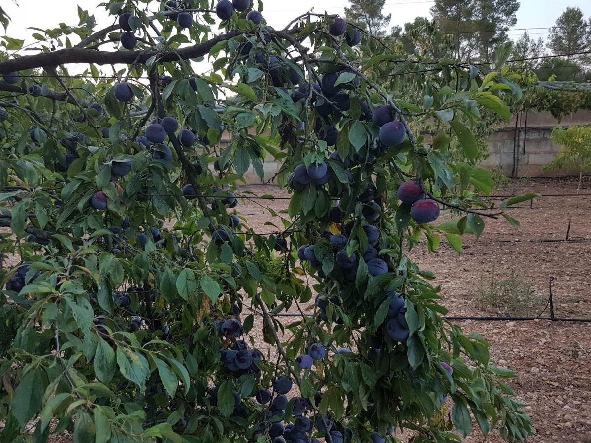 Finca Sa Cova De Mallorca Sencelles Exteriör bild