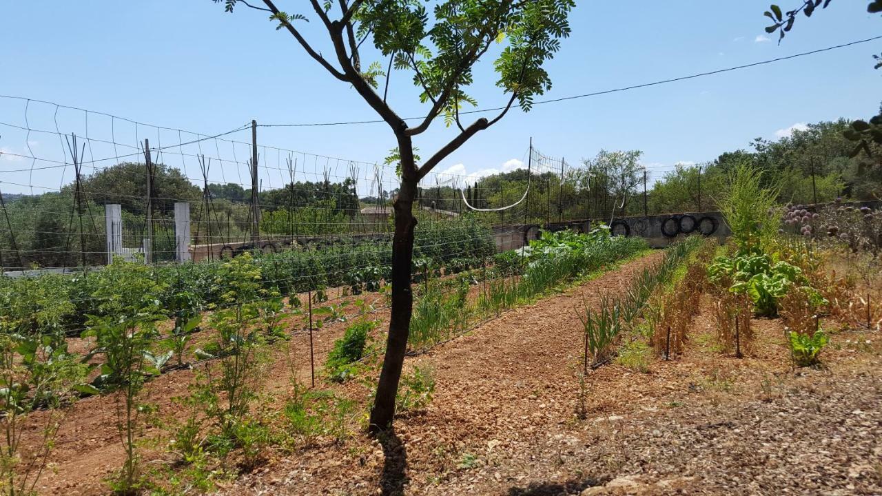 Finca Sa Cova De Mallorca Sencelles Exteriör bild