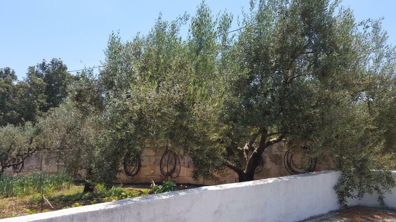 Finca Sa Cova De Mallorca Sencelles Exteriör bild