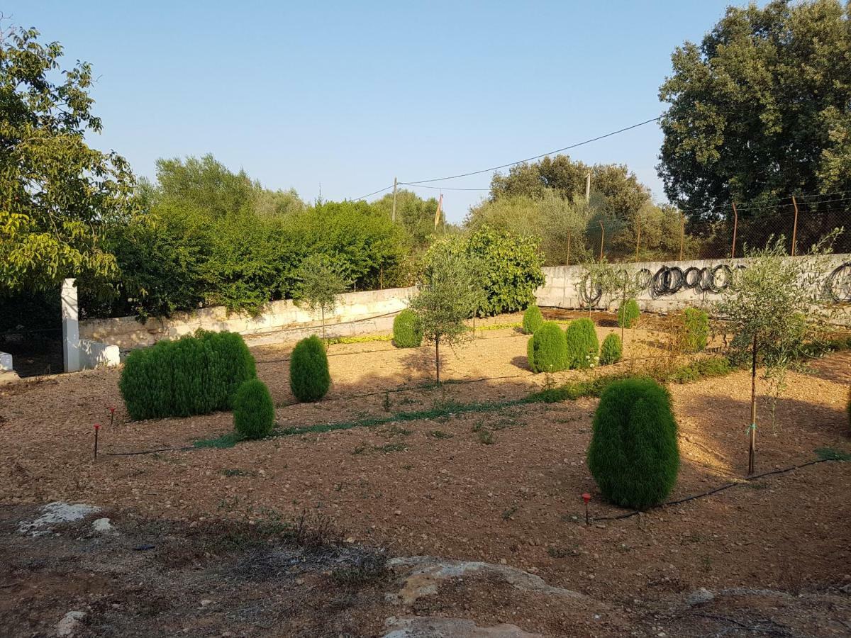 Finca Sa Cova De Mallorca Sencelles Exteriör bild