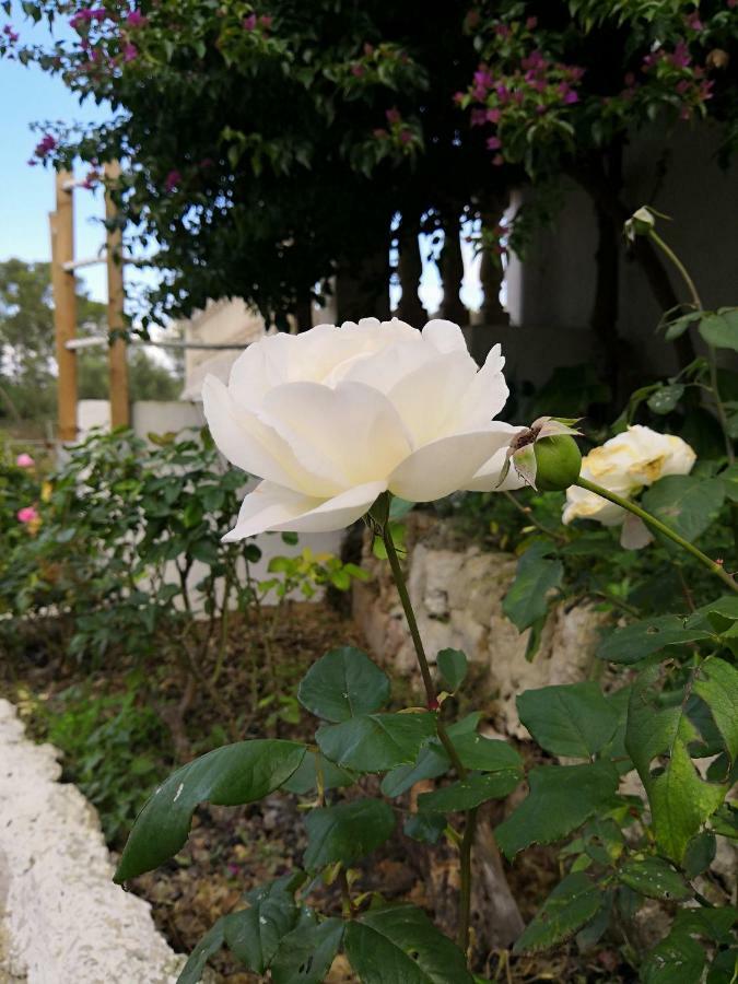 Finca Sa Cova De Mallorca Sencelles Exteriör bild