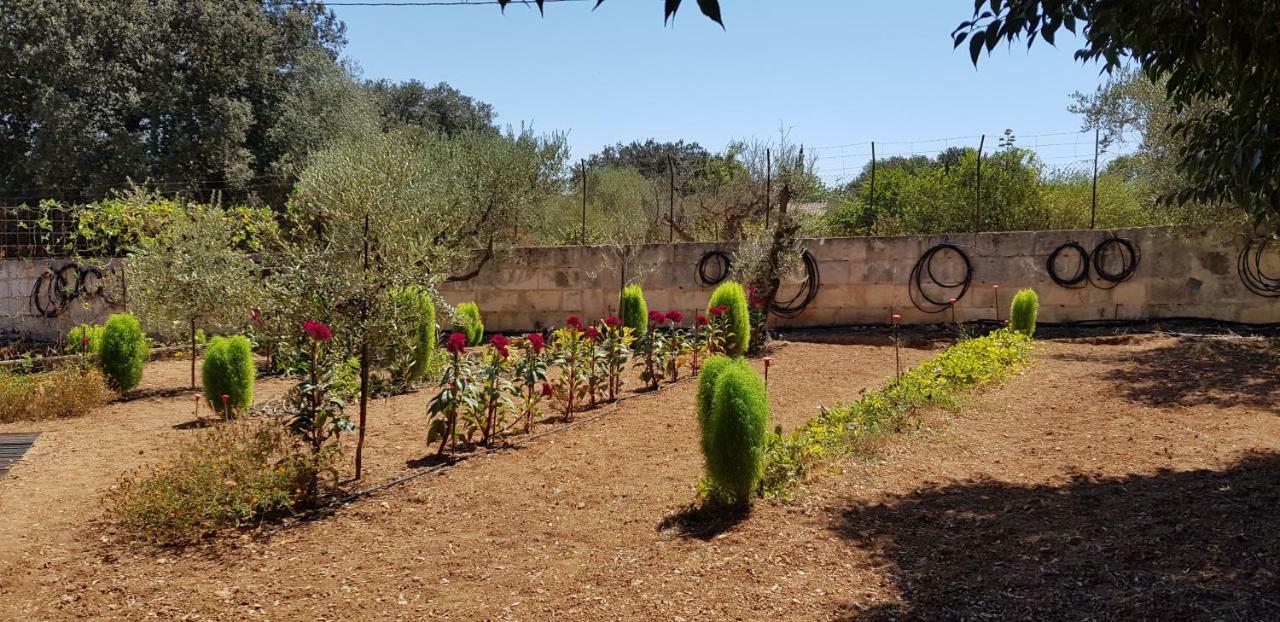 Finca Sa Cova De Mallorca Sencelles Exteriör bild